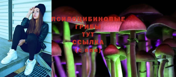 mdpv Лихославль