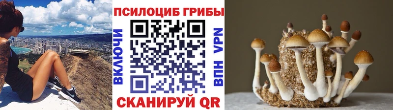 Галлюциногенные грибы мухоморы  Ядрин 